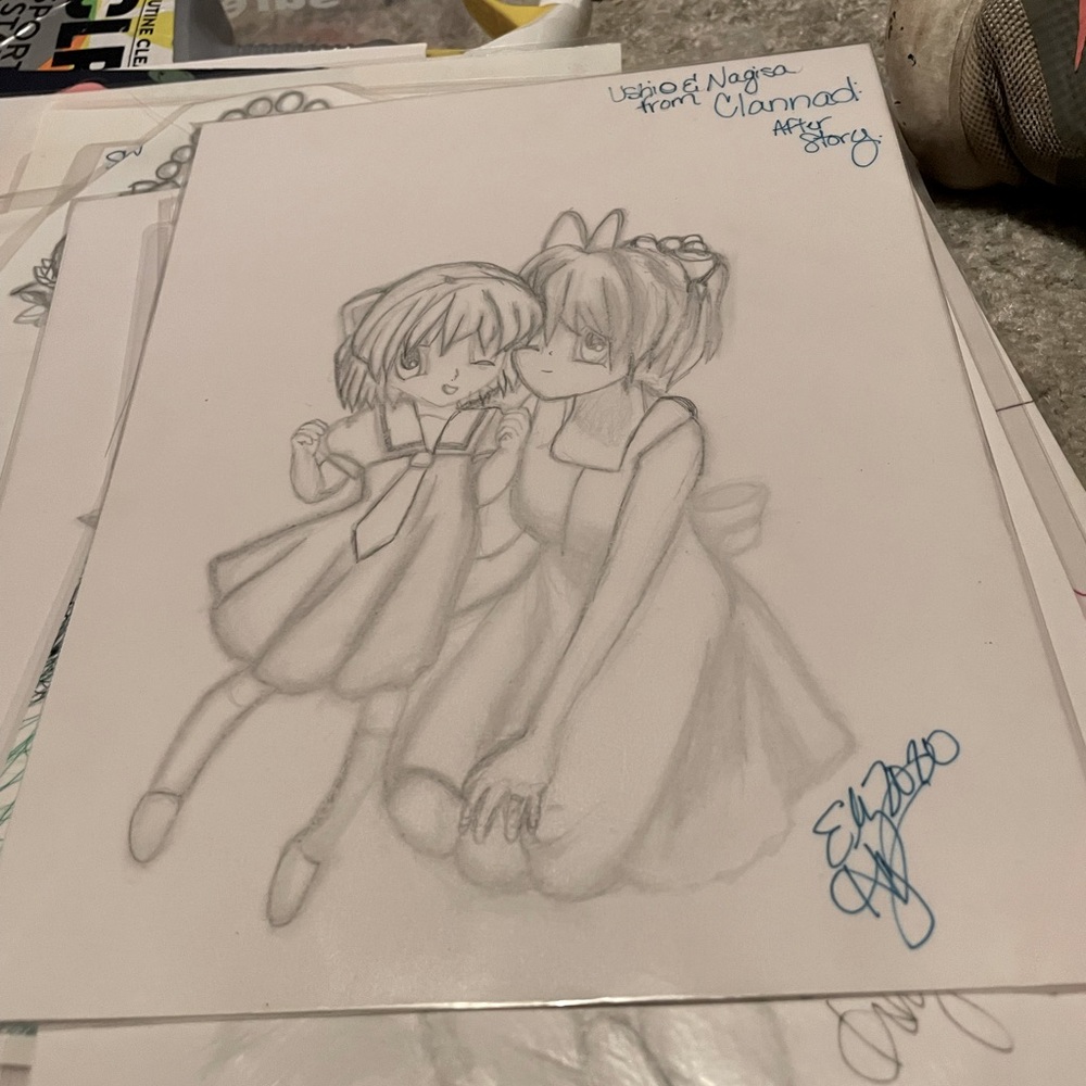 8x10 Illustrations.